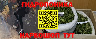 стаф Туймазы